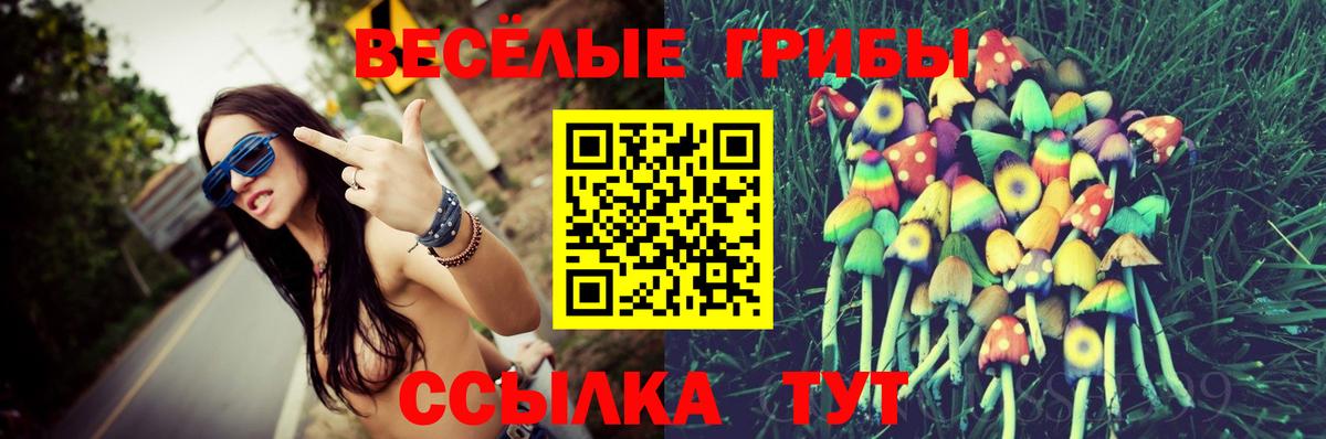 Кудымкар  Псилоцибиновые грибы мухоморы  Вход с VPN 